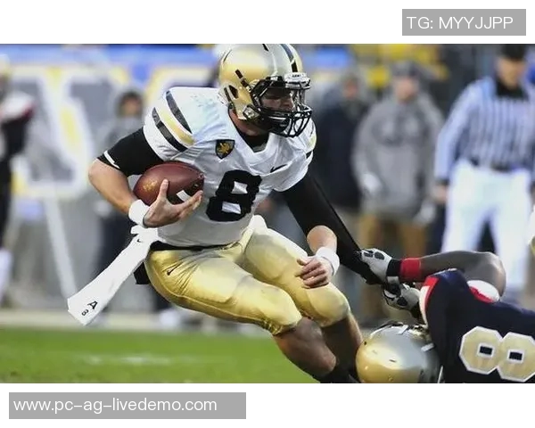 全面解析足球术语及其详细解释助你更好理解这项运动