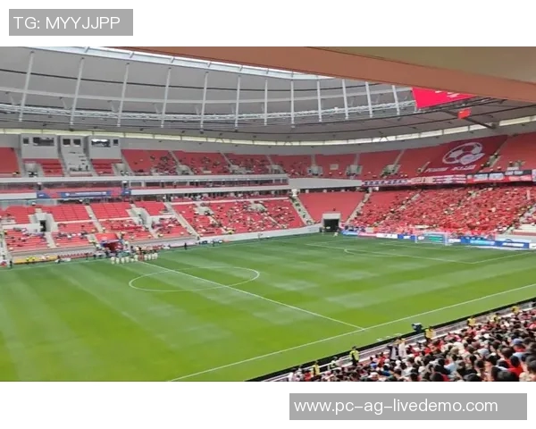 广州足球场周边美食与休闲活动推荐让你尽享足球赛事的乐趣与美好时光